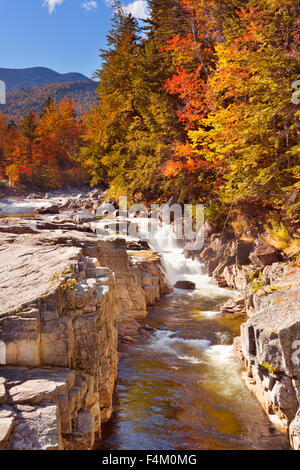 Multi-coloured fall foliage along the Rocky Gorge in the Swift River in White Mountains National Forest in New Hampshire, USA. Stock Photo