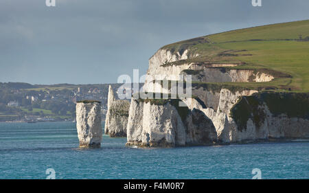 Old Harry Rocks and his wife, chalk coastline, Poole Bay, UK Stock Photo