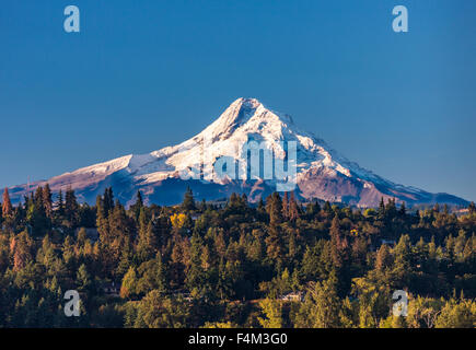 HOOD RIVER, OREGON, USA - Mount Hood, 11,241 ft (3,429 m) glaciated mountain in Cascade Range. Stock Photo