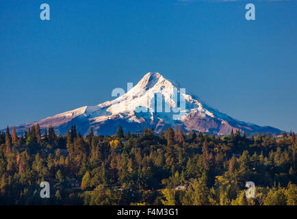 HOOD RIVER, OREGON, USA - Mount Hood, 11,241 ft (3,429 m) glaciated mountain in Cascade Range. Stock Photo