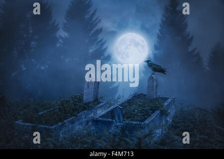 Crow sitting on a gravestone in moonlight Stock Photo