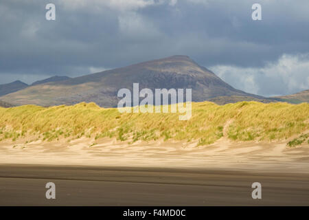 Harlech Beach and sand dunes, Harlech, Gwynedd, Wales, UK Stock Photo