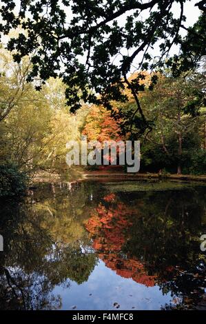 Glasgow, Scotland, UK. 20th Oct, 2015. The pond at Pollok Park, Glasgow, lit up in the beautiful autumn sunshine. Credit:  Tony Clerkson/Alamy Live News