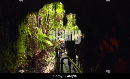 Tourists entering the Thurston Lava Tube in Hawaii Volcanoes National Park Stock Photo