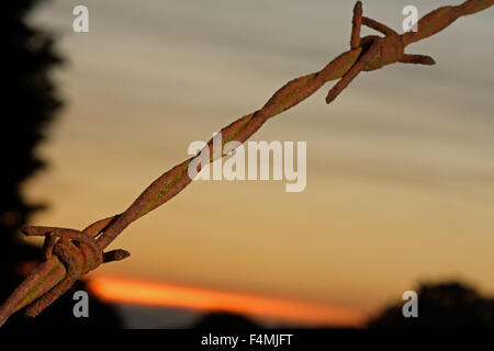 Close up of an old, rusted piece of barbwire (barbed wire) at sunset. Border concept. Shallow d o f. Stock Photo