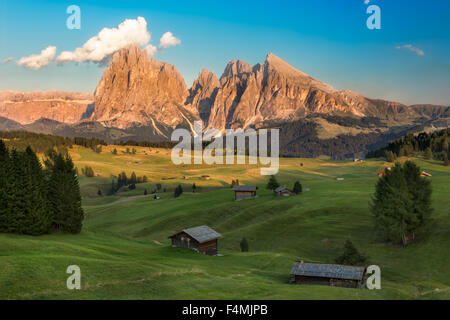 Seiser Alm with Langkofel Group in afternoon light, South Tyrol, Italy Stock Photo