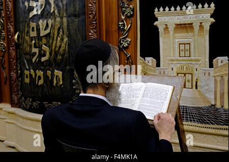 A Jewish worshiper praying next to a Torah Ark closet which contains the Jewish Torah scrolls decorated with a figure depicting the Biblical Jewish Temple inside the men's section of Wilson's Arch at the Western Wall compound in the old city. East Jerusalem, Israel Stock Photo