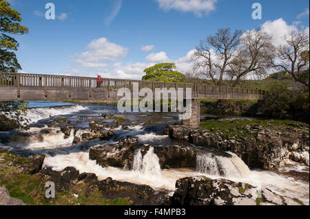 Sunny day with blue sky, lady is crossing wooden footbridge over scenic Linton Falls waterfall - River Wharfe, Grassington, Yorkshire, England, UK. Stock Photo
