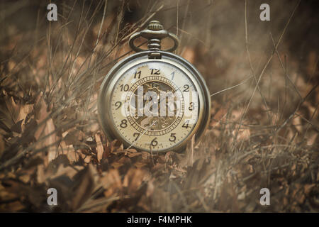 A pocket watch on leaves Stock Photo