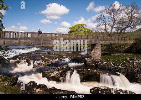 Under blue sky, man admires scenic view from wooden footbridge over sunny Linton Falls waterfall - River Wharfe, Grassington, Yorkshire, England, UK. Stock Photo