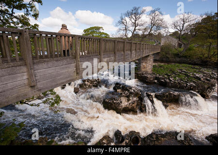 Under blue sky, male dog walker is crossing wooden footbridge over scenic Linton Falls - River Wharfe waterfall, Grassington, Yorkshire, England, UK. Stock Photo