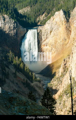 Lower Falls, Grand Canyon, Yellowstone NP, Wyoming, USA Stock Photo