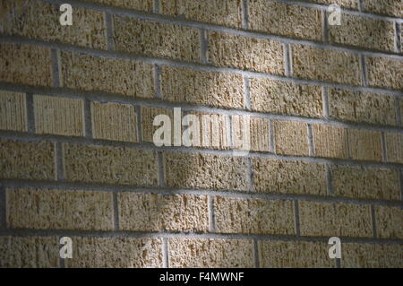 A wall of bricks in the evening shadow of nearby trees Stock Photo