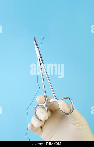 Surgeon holding surgical needle holder with silk suture on blue. Stock Photo