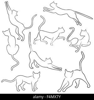 Set of eight black vector outlines of funny domestic cats in different poses on a white background, hand drawing illustration Stock Vector