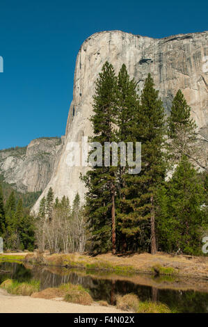 El Capitan from Sentinel Beach, Yosemite NP, California, USA Stock Photo