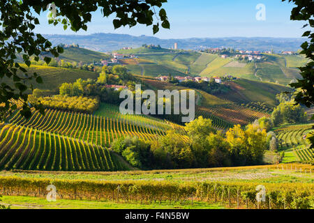 Piedmont, Italy, Langhe-Roero and Monferrato in the UNESCO World Heritage List: colourful vineyards. Stock Photo