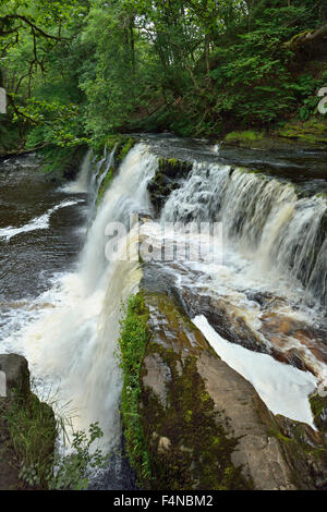 Sgwd y Pannwr, one of the four main waterfalls on the Afon Mellte River, Brecon Beacons, Wales Stock Photo