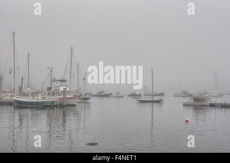 Bass Harbor In fog, Mount Desert Island, Acadia National Park, Maine Stock Photo