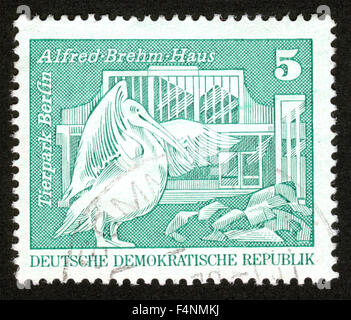 Germany, 1973, Pelican, Berlin Zoo, postage stamp, Stock Photo