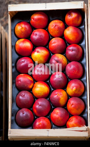 Fresh nectarines selling in a market. Vertical shot with a selective focus Stock Photo