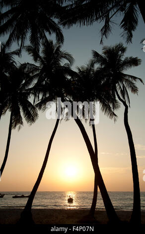 Silhouetted coconut palm trees frame the sunset glow on the horizon at Ngapali beach Myanmar Stock Photo