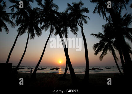 Silhouetted coconut palm trees frame the sunset glow on the horizon at Ngapali beach Myanmar Stock Photo