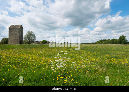Hay barn in a field of buttercups in Fairford, Gloucestershire, UK Stock Photo
