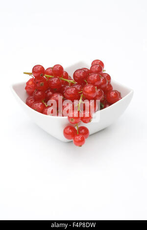 Redcurrants in a white bowl on a white background. Stock Photo