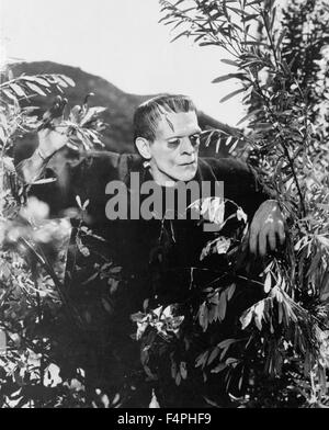 Boris Karloff / Frankenstein / 1931 directed by James Whale [Universal ...