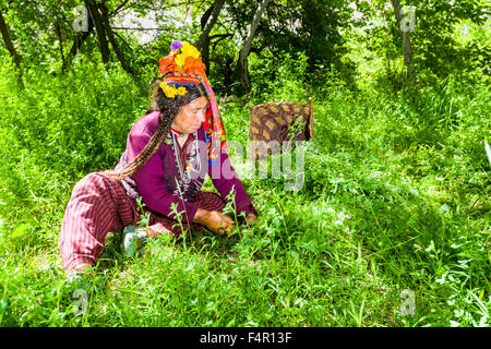 A woman of the Brokpa tribe, an arien race, in her traditional dress with a flower arrangement carried on the head Stock Photo