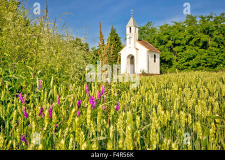 Catholic chapel in rural agricultural landscape, hay field in Cepidlak village of Croatia Stock Photo