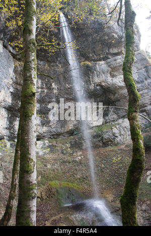 Switzerland, Europe, Baselland, Bubendorf, Wildenstein, waterfall, Sormattfall, brook Flü, autumn Stock Photo