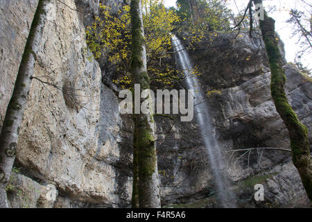 Switzerland, Europe, Baselland, Bubendorf, Wildenstein, waterfall, Sormattfall, brook Flü, autumn Stock Photo