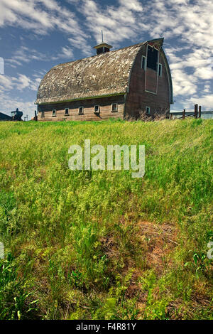 Palouse, rural, farms, Steptoe Butte, rolling hills, Spring, Eastern Washington, Washington, Colfax, farm, agriculture Stock Photo