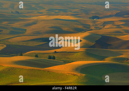 Palouse, rural, farms, agriculture, Steptoe Butte, rolling hills, Spring, Eastern Washington, Washington, Colfax Stock Photo