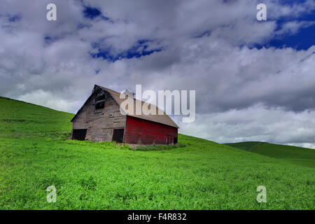 Palouse, rural, farms, wildflowers, flowers, Steptoe Butte, rolling hills, Spring, Eastern Washington, Washington, Colfax Stock Photo