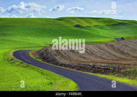 Palouse, rural, farms, road, Steptoe Butte, rolling hills, Spring, Eastern Washington, Washington, Colfax Stock Photo