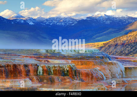 USA, United States, America, Wyoming, Yellowstone, National Park, geyser, pools, colour, nature, landscape, Stock Photo