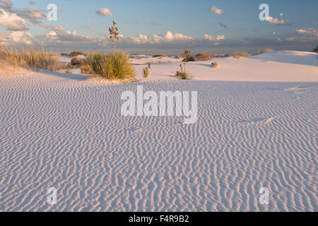 USA, United States, America, Southwest, New Mexico, Otero County, Alamogordo, White Sands, National Monument, park, nature, land Stock Photo