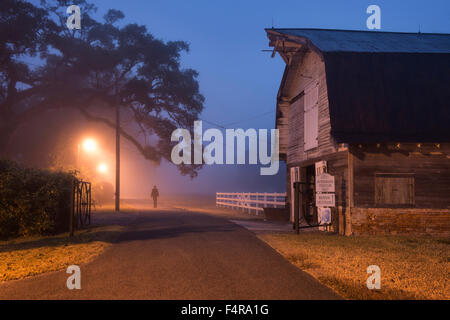 USA, United States, America, Louisiana, St. James Parish, Vacherie, Oak Alley Plantation, fog, night, barn Stock Photo