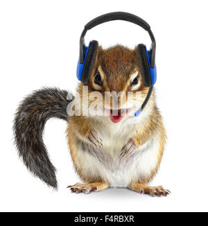 Funny animal call center operator, chipmunk with phone headset on white Stock Photo