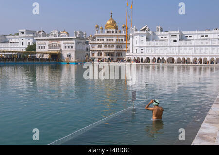 Asia, India, Punjab, Amritsar, Golden temple, religion, Sikh, shrine, holy, pilgrim, pond, ritual, man, bath, bathing Stock Photo
