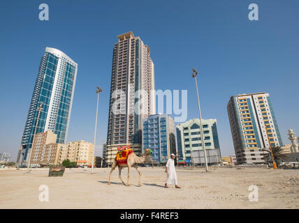 Man with camel walking on beach on waterfront of Ajman emirate in United Arab Emirates Stock Photo