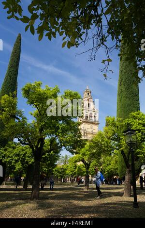 Torre del Alminar bell tower, Cordoba Mosque or Mezquita, Andalucia, Spain, Europe Stock Photo