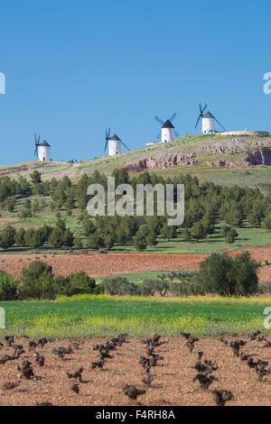 Castle, La Mancha, Landscape, Region, Spain, Europe, Spring, architecture, campo de criptana, castle, colourful, green, no peopl Stock Photo