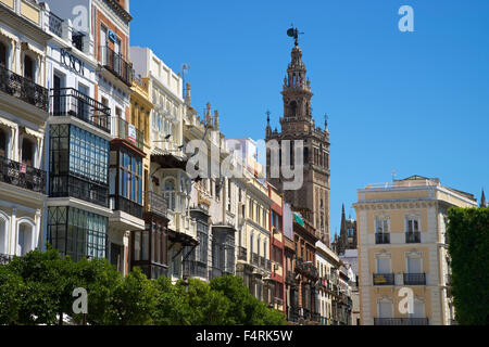 Andalusia, Spain, Europe, outside, day, Seville, cathedral, church, Giralda, building, construction, architecture Stock Photo