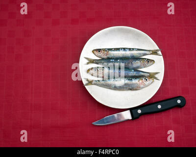 Healthy oily fish aka pilchards. On plate wth kife. Red tablecloth. Stock Photo