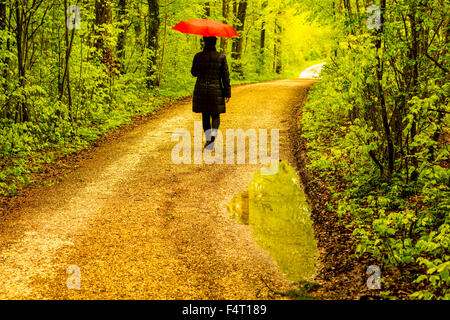 alone, Baden-Wurttemberg, leaves, beeches, Germany, lonely, lonesome woman, loneliness, one, person, relaxation, rest, Europe, F Stock Photo