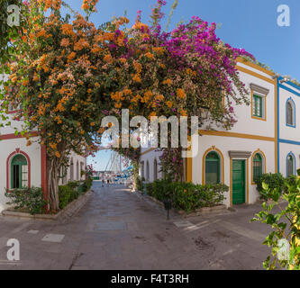Spain, Europe, Puerto de Mogan, Gran Canaria, Canary Islands, Holiday village, city, village, flowers, summer, Stock Photo